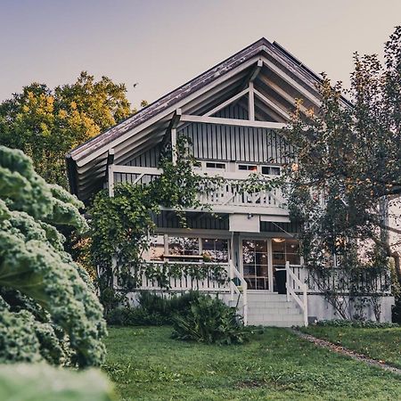 Gardenia-Altach, 2-4 P, Kueche, Garten, Terrasse, Parkplatz, Wifi, Ski Stellplatz Esterno foto